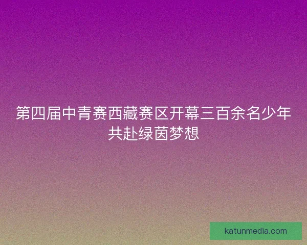 第四届中青赛西藏赛区开幕三百余名少年共赴绿茵梦想 第四届中青赛西藏赛区开幕三百余名少年共赴绿茵梦想